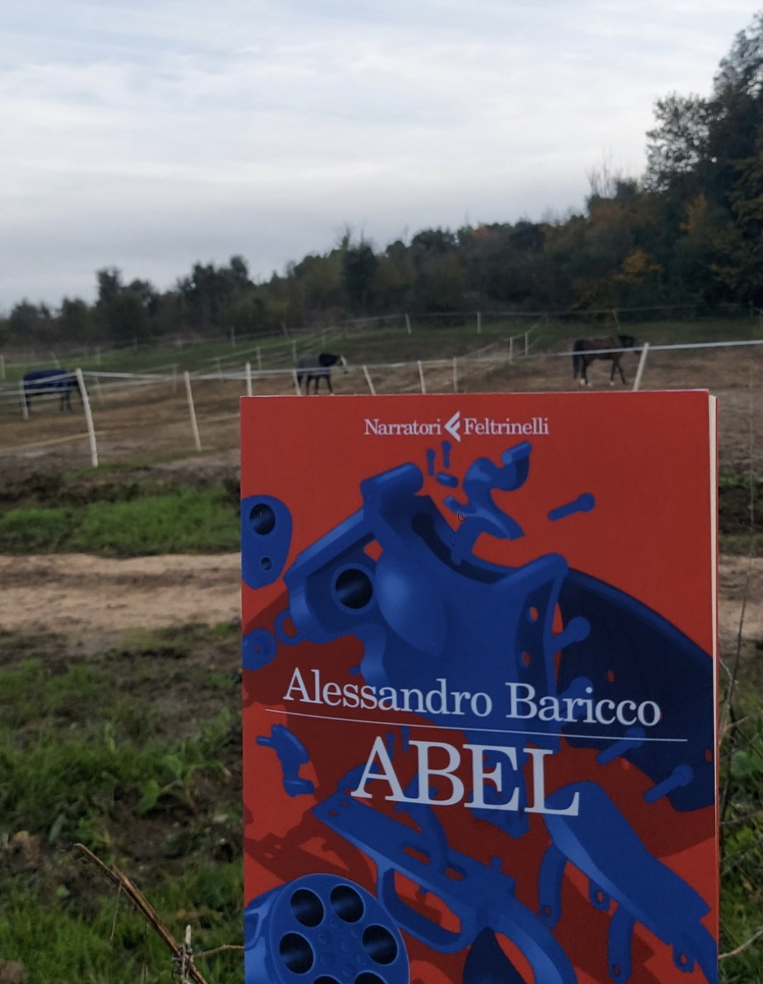 Abel” di Alessandro Baricco (Ed. Feltrinelli) - Terza Pagina Magazine